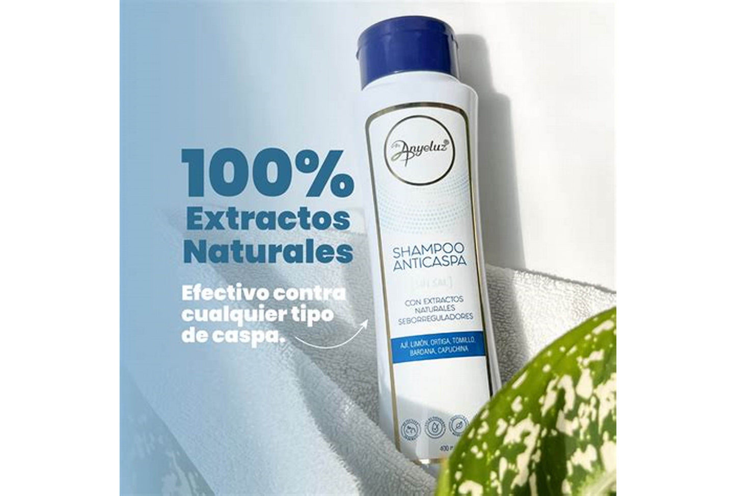 Shampoo Anticaspa Anyeluz X 400 ML