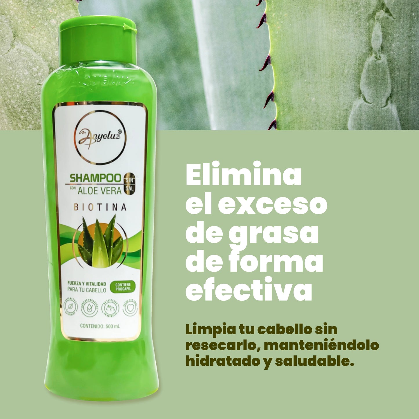 Shampoo Aloe Vera Anyeluz 500ML