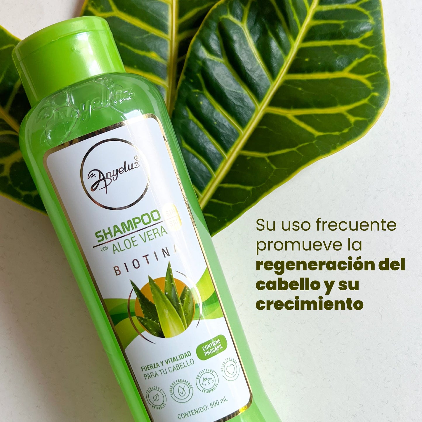 Shampoo Aloe Vera Anyeluz 500ML